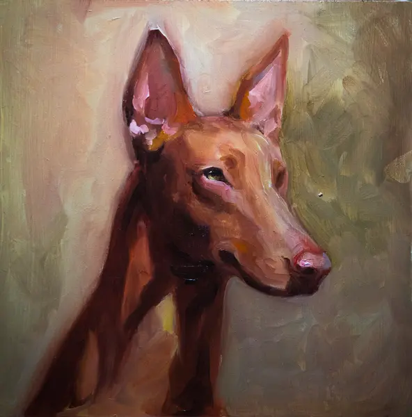 Chien roux